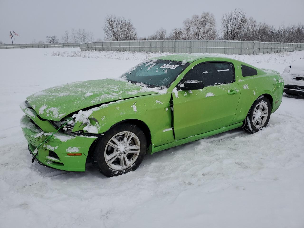 FORD MUSTANG 2013 green coupe gas 1ZVBP8AM0D5281727 photo #1