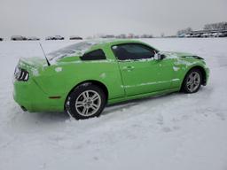 FORD MUSTANG 2013 green coupe gas 1ZVBP8AM0D5281727 photo #4