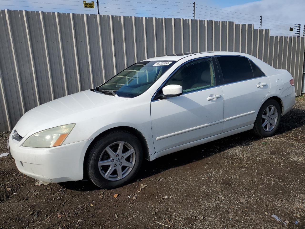 HONDA ACCORD EX 2003 white sedan 4d gas 1HGCM66543A102585 photo #1