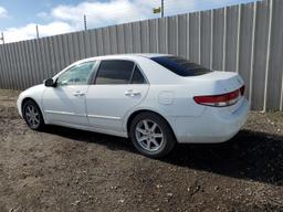 HONDA ACCORD EX 2003 white sedan 4d gas 1HGCM66543A102585 photo #3