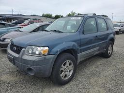 FORD ESCAPE XLS 2006 blue 4dr spor gas 1FMYU02Z76KA54147 photo #2