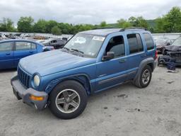 JEEP LIBERTY 2004 blue  gas 1J4GL48K54W102961 photo #2