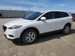 MAZDA CX-9 TOURI 2013 white  gas JM3TB3CA1D0423146 photo #2