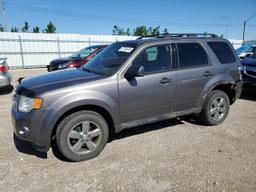 FORD ESCAPE XLT 2011 gray  flexible fuel 1FMCU9DG4BKA94268 photo #2