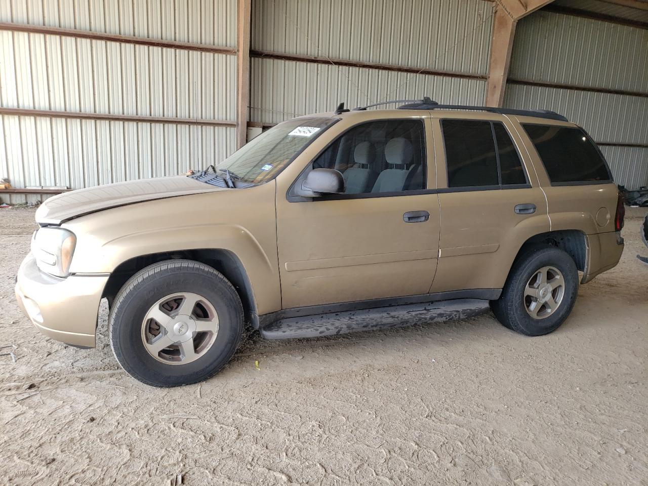 CHEVROLET TRAILBLAZE 2006 gold 4dr spor gas 1GNDS13S962303975 photo #1