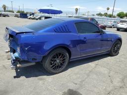 FORD MUSTANG 2014 blue coupe gas 1ZVBP8AM7E5317009 photo #4