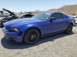 FORD MUSTANG 2014 blue coupe gas 1ZVBP8AM7E5317009 photo #2