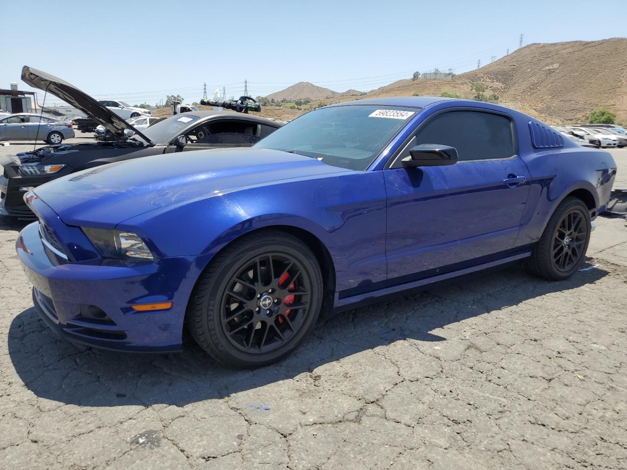 FORD MUSTANG 2014 blue coupe gas 1ZVBP8AM7E5317009 photo #1