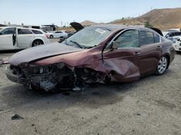 HONDA ACCORD EXL 2008 burgundy  gas JHMCP26888C067813 photo #2