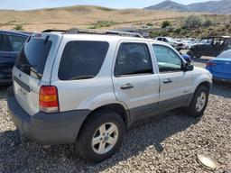 FORD ESCAPE HEV 2007 gray  hybrid engine 1FMYU49H27KA45006 photo #4