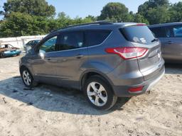 FORD ESCAPE SE 2013 gray  gas 1FMCU0GXXDUC40591 photo #3