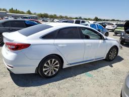 HYUNDAI SONATA SPO 2016 white sedan 4d gas 5NPE34AF4GH342491 photo #4