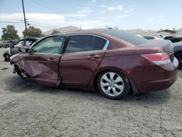 HONDA ACCORD EXL 2008 burgundy  gas JHMCP26888C067813 photo #3