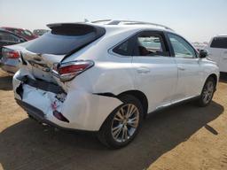 LEXUS RX 450 2013 white  hybrid engine JTJBC1BA0D2052814 photo #4