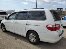 HONDA ODYSSEY EX 2007 white  gas 5FNRL38797B136396 photo #3