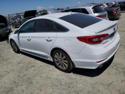 HYUNDAI SONATA SPO 2016 white sedan 4d gas 5NPE34AF4GH342491 photo #3