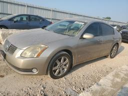 NISSAN MAXIMA SE 2005 beige  gas 1N4BA41E65C859886 photo #2