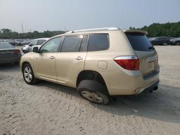 TOYOTA HIGHLANDER 2008 cream  gas JTEES42A682028653 photo #3