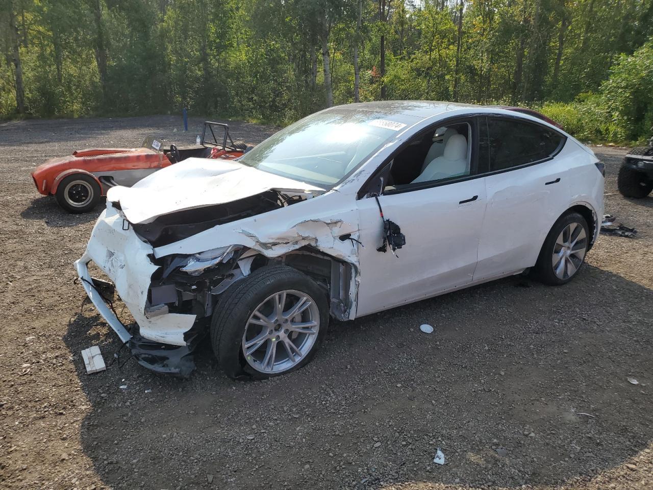 TESLA MODEL Y 2023 white  electric 7SAYGDEE4PF603140 photo #1