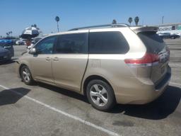 TOYOTA SIENNA LE 2013 gold sports v gas 5TDKK3DC2DS391597 photo #3