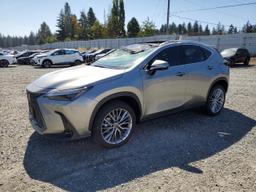 LEXUS NX 350 LUX 2024 silver  gas 2T2HGCEZ3RC036447 photo #2