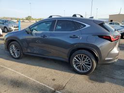 LEXUS NX 350 2023 gray  gas 2T2HGCEZ0PC029033 photo #3