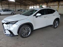 LEXUS NX 350 LUX 2024 white  gas 2T2HGCEZ4RC056514 photo #2