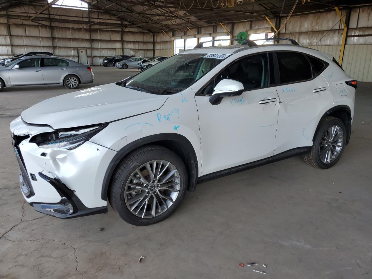 LEXUS NX 350 LUX 2024 white  gas 2T2HGCEZ4RC056514 photo #1