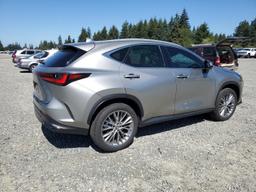 LEXUS NX 350 LUX 2024 silver  gas 2T2HGCEZ3RC036447 photo #4