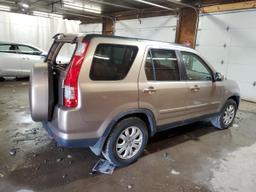 HONDA CR-V SE 2006 tan  gas JHLRD78986C027870 photo #4