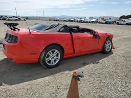 FORD MUSTANG 2013 red  gas 1ZVBP8EM0D5270057 photo #4