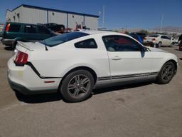 FORD MUSTANG 2010 white  gas 1ZVBP8AN1A5130738 photo #4