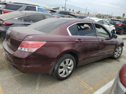 HONDA ACCORD EXL 2008 burgundy  gas JHMCP26888C067813 photo #4