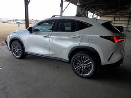 LEXUS NX 350 LUX 2024 white  gas 2T2HGCEZ4RC056514 photo #3