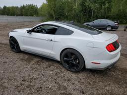 FORD MUSTANG 2021 white  gas 1FA6P8TH8M5126529 photo #3