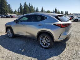 LEXUS NX 350 LUX 2024 silver  gas 2T2HGCEZ3RC036447 photo #3