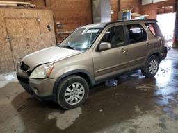 HONDA CR-V SE 2006 tan  gas JHLRD78986C027870 photo #2