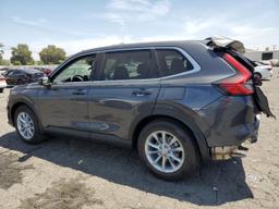 HONDA CR-V EX 2025 gray  gas 2HKRS3H44SH302939 photo #3