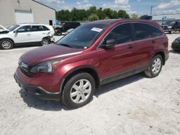 HONDA CR-V EX 2009 burgundy  gas 3CZRE48539G702252 photo #2