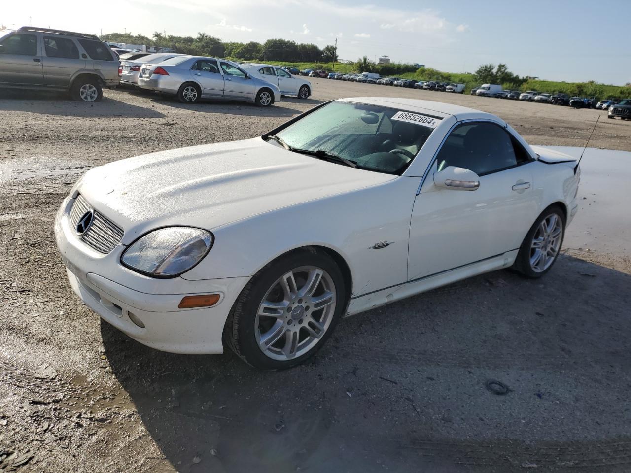 MERCEDES-BENZ SLK 320 2004 white  gas WDBKK65FX4F311407 photo #1