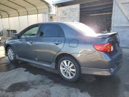 TOYOTA COROLLA BA 2010 gray  gas 2T1BU4EE5AC505094 photo #3