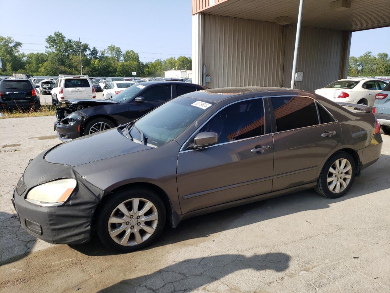 HONDA ACCORD EX 2006 gray  gas 1HGCM66596A075453 photo #1