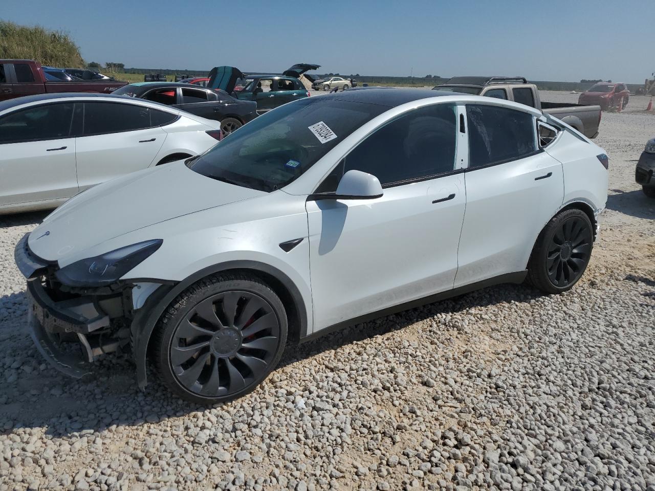 TESLA MODEL Y 2021 white  electric 5YJYGDEFXMF121600 photo #1