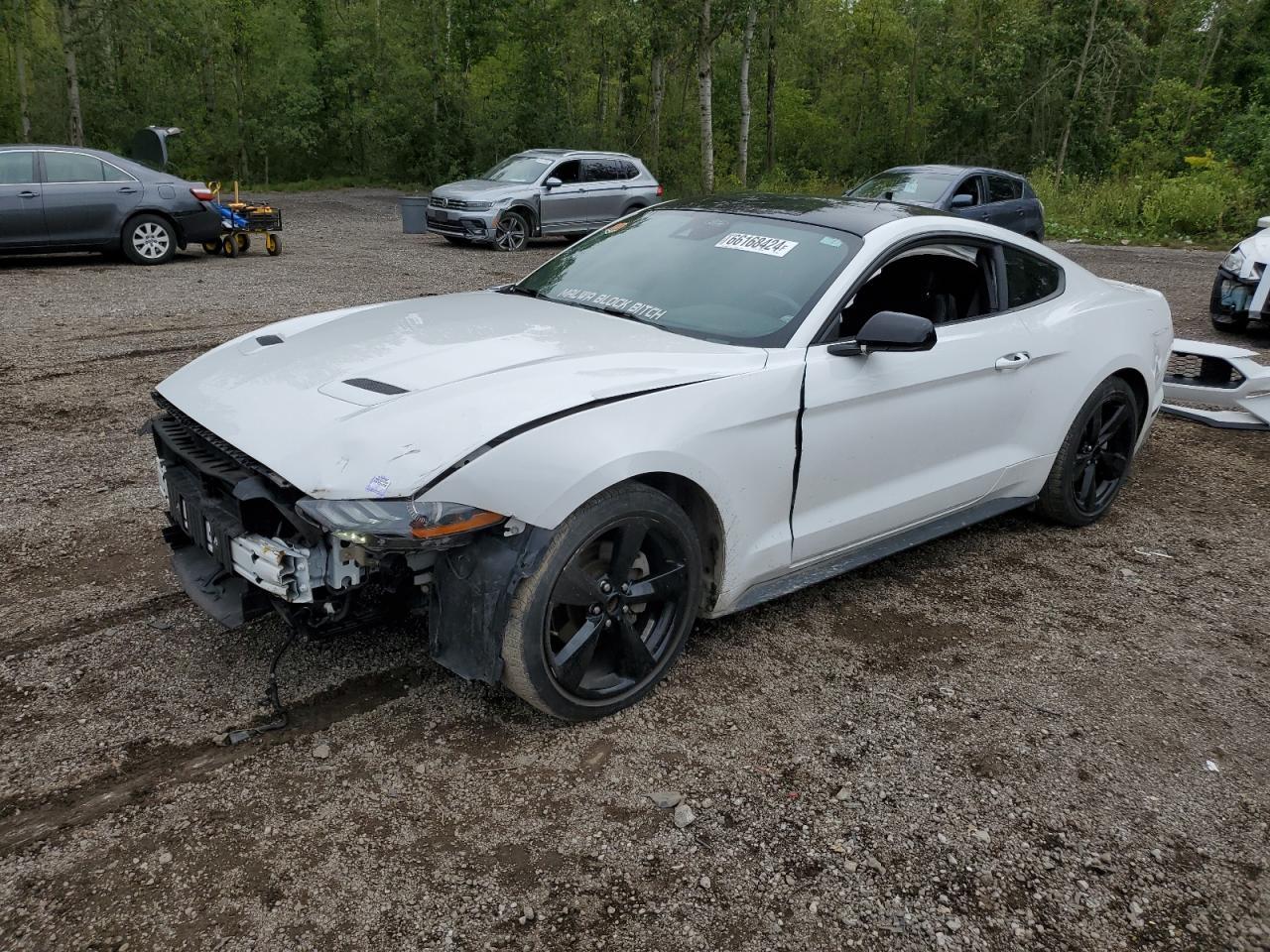 FORD MUSTANG 2021 white  gas 1FA6P8TH8M5126529 photo #1