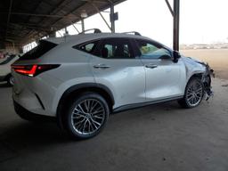 LEXUS NX 350 LUX 2024 white  gas 2T2HGCEZ4RC056514 photo #4