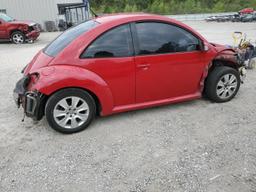 VOLKSWAGEN NEW BEETLE 2008 red  gas 3VWPW31C38M500117 photo #4