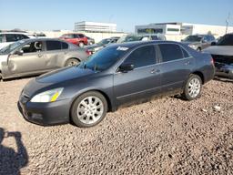 HONDA ACCORD EX 2007 gray  gas 1HGCM66537A082982 photo #2