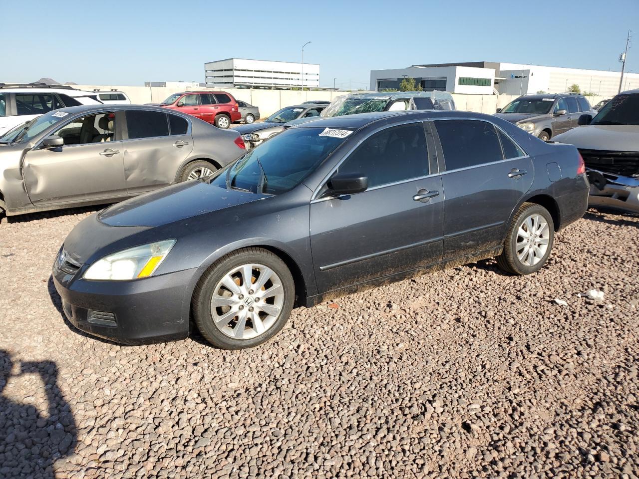 HONDA ACCORD EX 2007 gray  gas 1HGCM66537A082982 photo #1