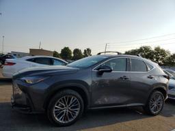 LEXUS NX 350 2023 gray  gas 2T2HGCEZ0PC029033 photo #2