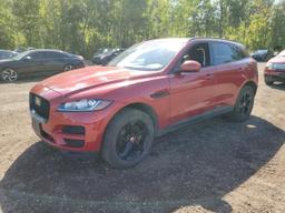 JAGUAR F-PACE PRE 2019 red  gas SADCJ2FX2KA605942 photo #2